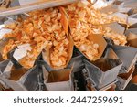 Potato chips production line at ...
