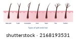 types of split ends hair  baby... | Shutterstock .eps vector #2168193531