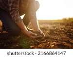 Small photo of Hand of expert farmer collect soil. Farmer is checking soil quality before sowing. Agriculture, gardening or ecology concept.