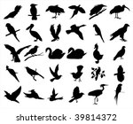 birds | Shutterstock .eps vector #39814372