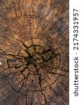 Small photo of The texture of an old cracked stump. Natural wood background top view. A section of the trunk that has undergone aging. Ecology of forest resources.
