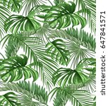 seamless pattern of tropical... | Shutterstock .eps vector #647841571