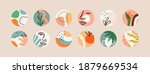 set of matisse art circle icons ... | Shutterstock .eps vector #1879669534