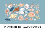 Set of diverse sea shell, aquatic life animals in flat cartoon style. Isolated marine seashell, star fish and more exotic wildlife. Summer vacation collection, tropical beach shells.