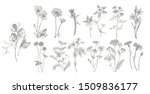 collection of hand drawn... | Shutterstock .eps vector #1509836177