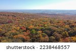 Fall foliage in the mountain tops of Linn Run State Park in Ligonier, Pennsylvania. 