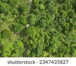 Small photo of A trekking path to nong ping,Hongkong. Top view of path to nong ping.