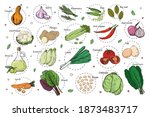 sketch of different vegetables. ... | Shutterstock .eps vector #1873483717