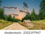 Countryside road among wild  forest and piles of felled wood for energy production that is certificate of great impact of anthropogenic  factor influencing drastically on global worming of our planet