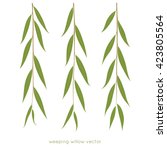 weeping willow twigs. tree... | Shutterstock .eps vector #423805564