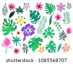 beautiful big  set with... | Shutterstock .eps vector #1085568707