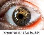Small photo of The close up shot of human eye. The human eye is a paired sense organ that reacts to light and allows vision.