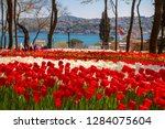 Flower Beds With Red And White...