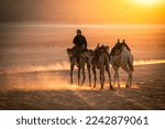 Bedouin riding camel at sunset in Wadi Rum, Jordan.