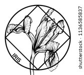 Design for your T-shirt Pattern for coloring book. Hand drawn line art of flower iris. For tattoo 