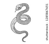 tattoo snake. traditional black ... | Shutterstock .eps vector #1285867651