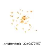 Small photo of Dry Garlic Slices Isolated, Scattered Crispy Fried Cloves Pile Closeup, Roasted Grilled Garlic Flakes, Clove Chip Group on White Background Top View