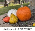 Four Pumpkins Sitting In A...