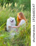 Small photo of Red-haired girl in a field with a white dog. Samoyed Laika. Samoyed Spitz.