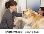 Small photo of smiling veterinarian fondling a golden retriever to becalm it for an upcoming ultrasonic examination
