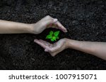 Ecology sapling tree growing up and planting on land. Hands kids Team work protecting and reduce global warming earth, top view.    Agriculture Ecology Concept