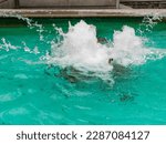 Small photo of The gush of water of a fountain. Splash of water in the fountain, abstract image.Foam in the sea. The gush of water of a fountain. Splash of water in the fountain, abstract image.