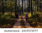 Small photo of Landscape of Thung Salaeng Luang National Park Phetchabun Province Beautiful nature of sunrise and morning fog in the savannah in winter season thailand.