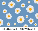 flowers of white daisy on a... | Shutterstock . vector #1022607604