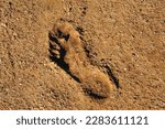 Small photo of Deep footprint left in hardened soil. Age-old evidence of mankind's presence on earth. High quality photo