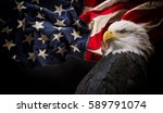 American Bald Eagle   Symbol Of ...