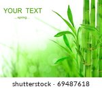 bamboo background | Shutterstock . vector #69487618