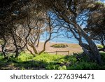 Small photo of Spectacular landscape along the great ocean road, Victoria, Australia. PC: Binay Guchhait