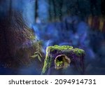 Small photo of Magical fairy forest at night with a close up of a tree trunk with a fairy house. Fantasy misty landscape with a soft feeling with light magical effects. Perfect for a backdrop