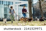 Small photo of Young happy pet sitters walking large group of dogs on a leash in the park. Copy space.