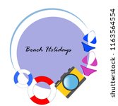 beach holiday  camera  swimsuit ... | Shutterstock .eps vector #1163564554