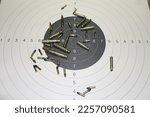 Shooting target with ammunition for sport shooters