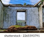 Window Of An Abandoned House...