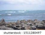 Small photo of Close up of ocean, rocks and seaweed at Turtle Bay on Oahu North Shore between Protection Point and Kuilima Point in Summer
