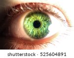 Close-up of green human eye