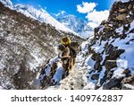 Small photo of Everest region, Himalayas, Nepal- March 01 2019: Yak carrying loads on the way to the Everest base camp, Everest region, Himalayas, Nepal.