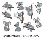 Set Of Cute Grey Koala Bear In...