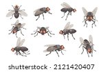 Set of housefly insect vector illustration on white background