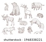 different forest animals... | Shutterstock .eps vector #1968338221