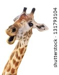Giraffe Head Face Look Funny...