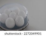 Small photo of Egg cooker or egg boiler with white eggs with lid.