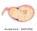 unborn child | Shutterstock .eps vector #33091900