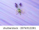 Small photo of Bow of rope isolated . purple flowers and rope banter