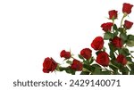 Small photo of red rose bouquet deign with white background rose bouquet concept background