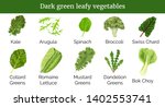 Dark Green Leafy Vegetables ...