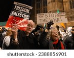 Small photo of London, UK. Nov 15, 2023. A rally supporting Palestine unfolds outside Parliament as MPs debate a ceasefire. Hundreds gather, waving Palestinian flags and banners advocating for a ceasefire.